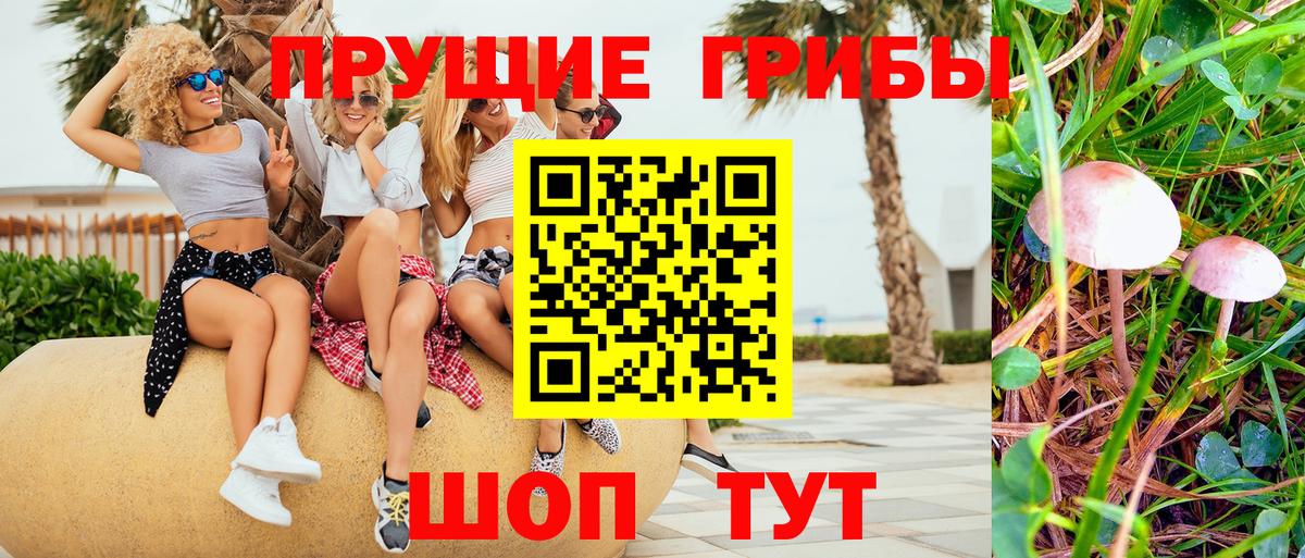 Дербент  Псилоцибиновые грибы прущие грибы  Вход с VPN  Псилоцибиновые грибы прущие грибы 