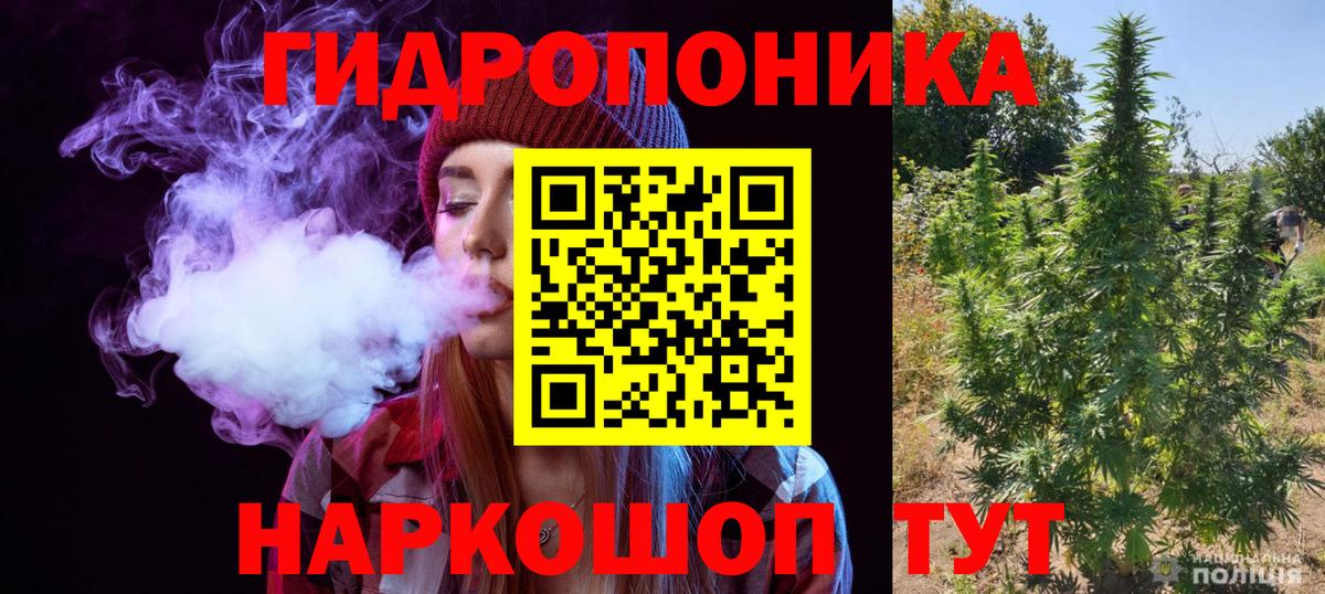 МАРИХУАНА семена Дербент