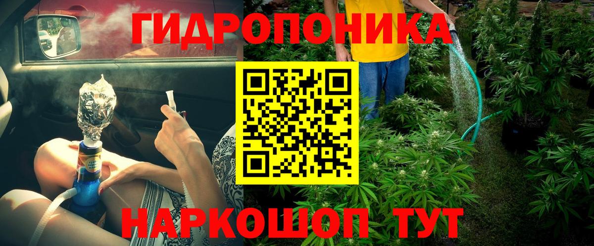 Марихуана Amnesia  Конопля семена  Конопля сатива  Дербент  Конопля сатива  Вход с VPN 